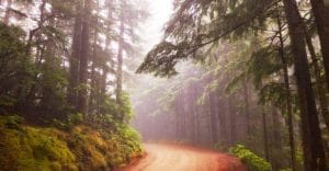 Der Ausflug [German Creepypasta]