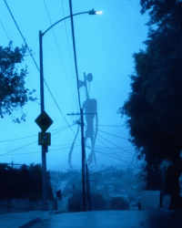 Ich arbeite als Park Ranger – Das Wesen im Nationalpark