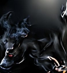 Die Mitrenner sind echt