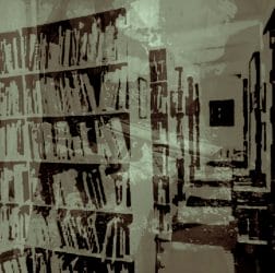 Der Bibliotheksschläfer