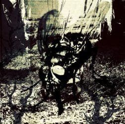 Als die Fliegen immer mehr wurden