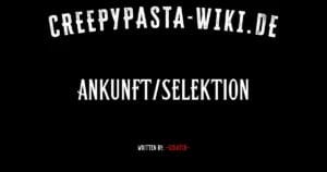 Ankunft/Selektion