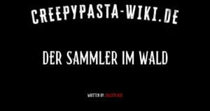 Der Sammler im Wald