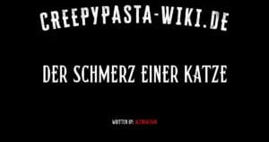 Der Schmerz einer Katze