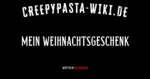 Mein Weihnachtsgeschenk