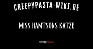 Miss Hamtsons Katze