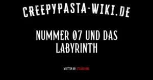 Nummer 07 und das Labyrinth