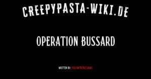 Operation Bussard
