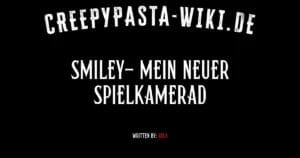 Smiley- Mein neuer Spielkamerad