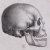 Profilbild von Sebastian Lipp