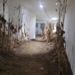 Bild von Official Swiss Backrooms