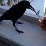 Profilbild von sophia